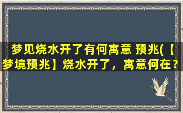 梦见烧水开了有何寓意 预兆(【梦境预兆】烧水开了，寓意何在？)